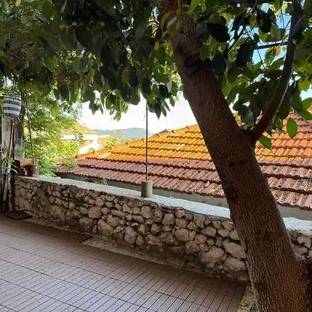 Carmen's 1st Floor With Floor Sea View And Roof Terrace- 公寓